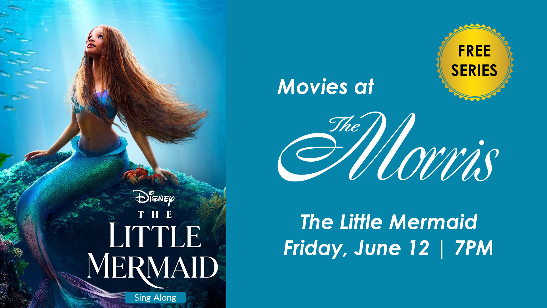 Little mermaid banner